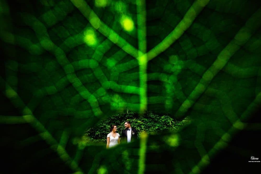 Diana + Alin - Fotografii de Bogdan Chircan Photographer
