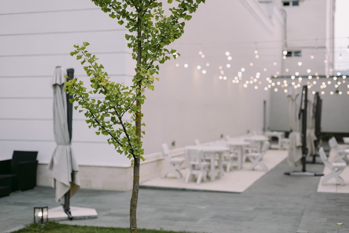 Hoha Events - locatie pentru nunti in Hațeg, Hunedoara
