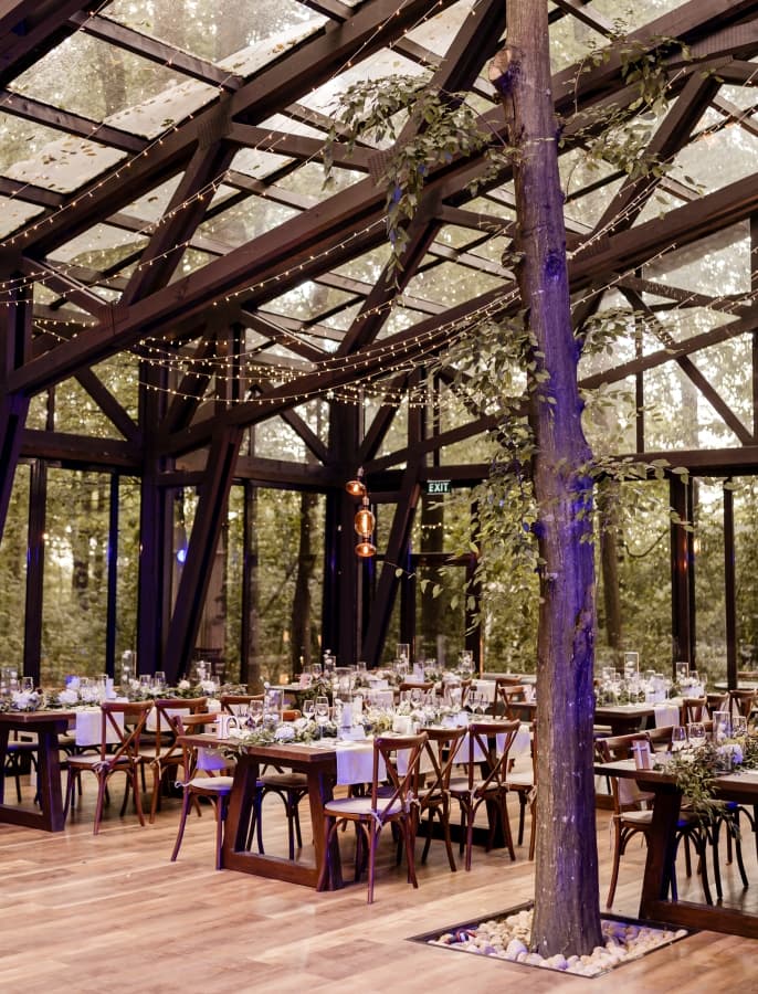 TreeHouse - In the Woods - Cosoba