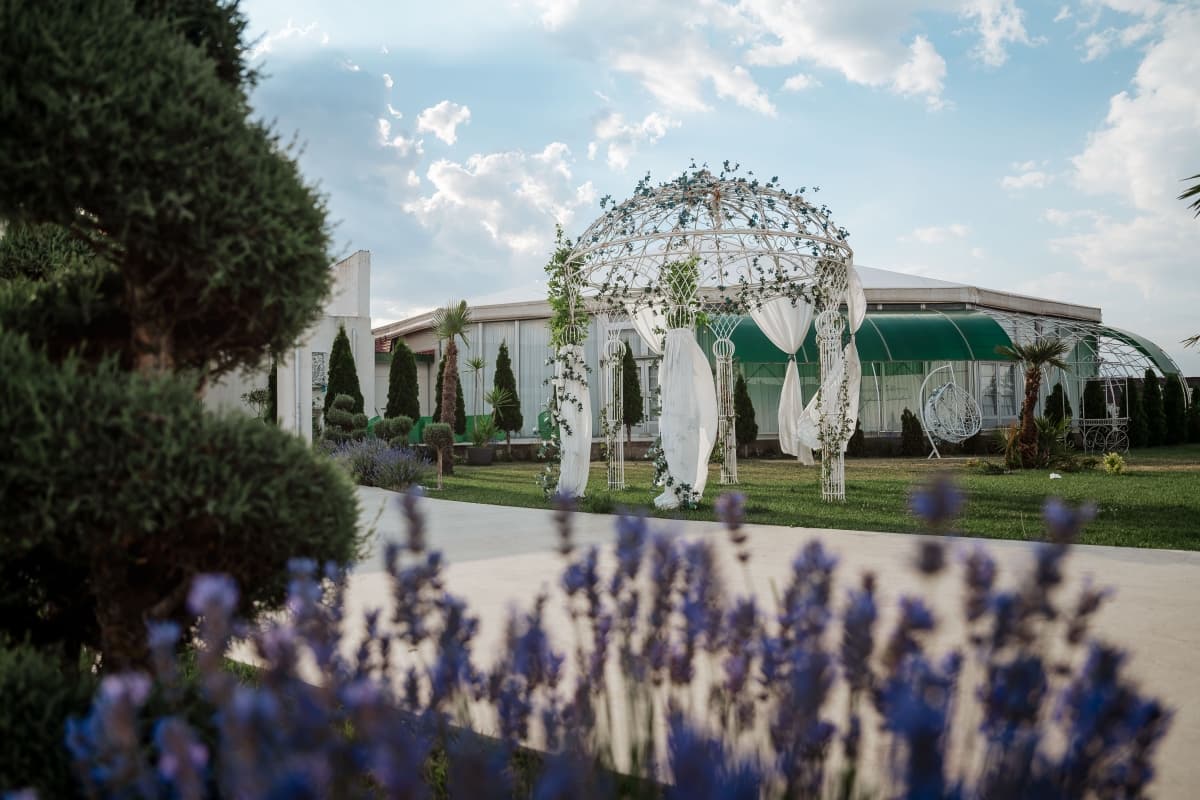 Golden Star Events - Alexandria