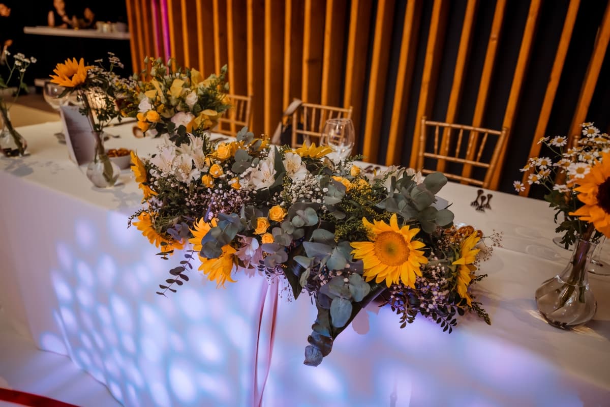 Terra Events Hall - locatie pentru nunti in București, București