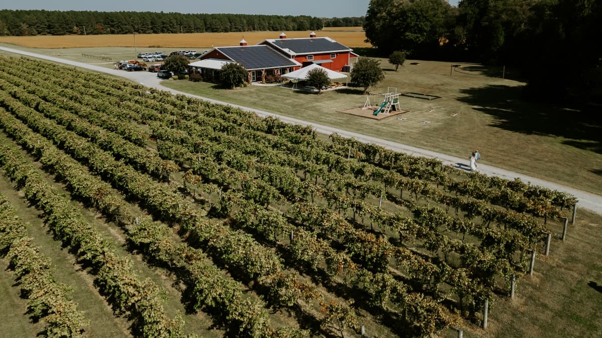 Layton's Chance Vineyard and Winery - locatie pentru nunti in Vienna, Maryland