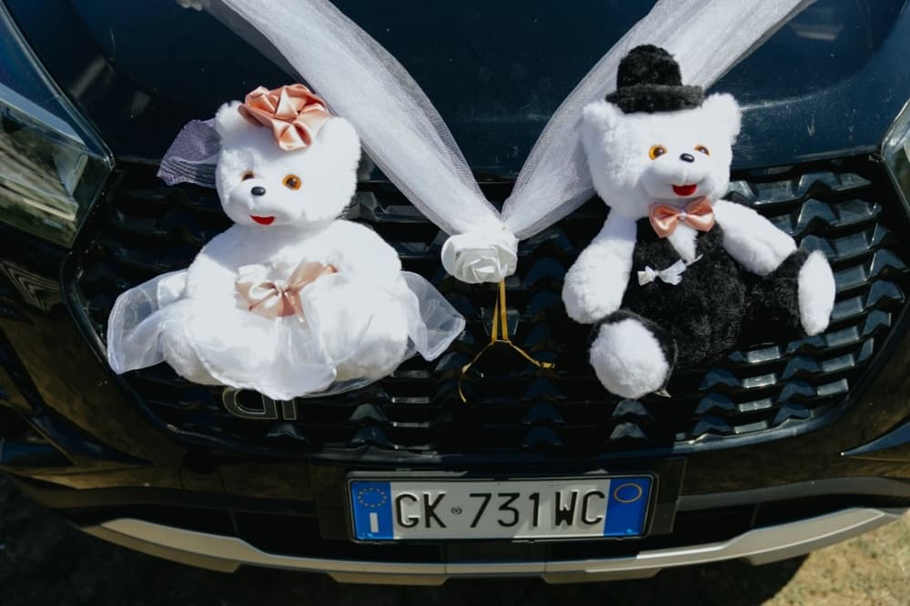 Cristian & Mirela - Fotografii de Sergiu Cotruta
